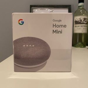 Google home mini